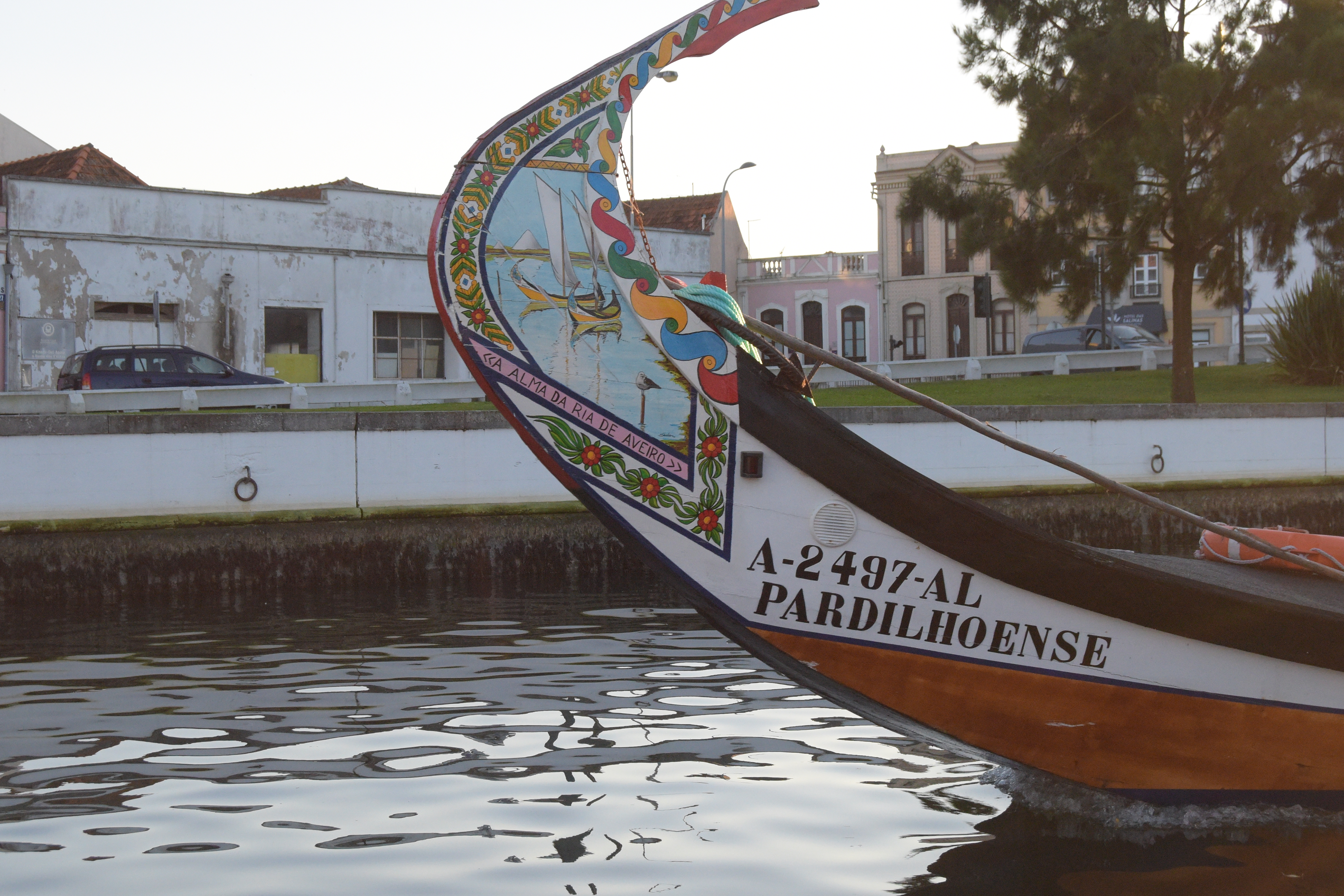 bateau moliceiro