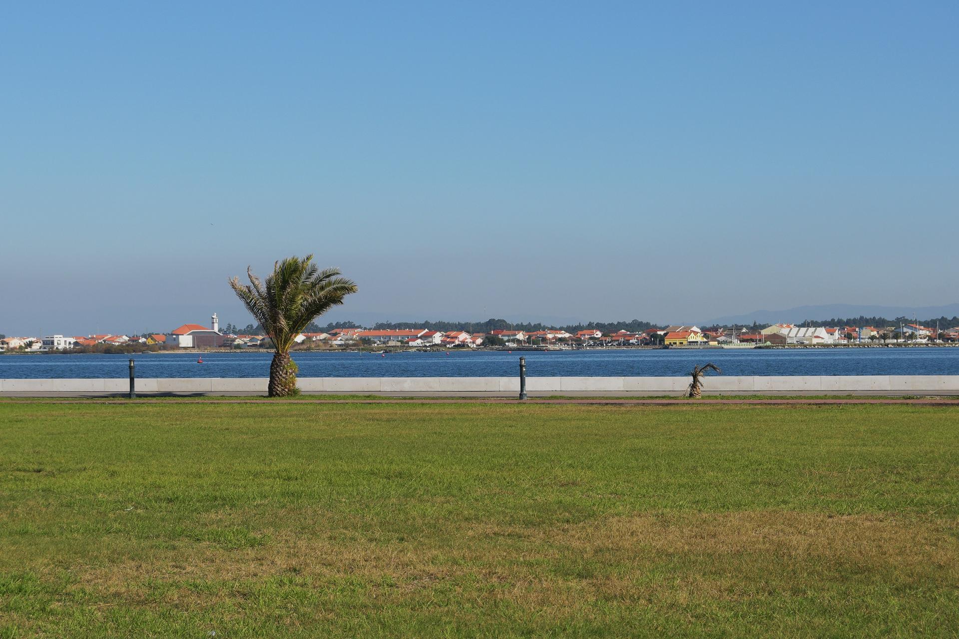 lagune d'Aveiro
