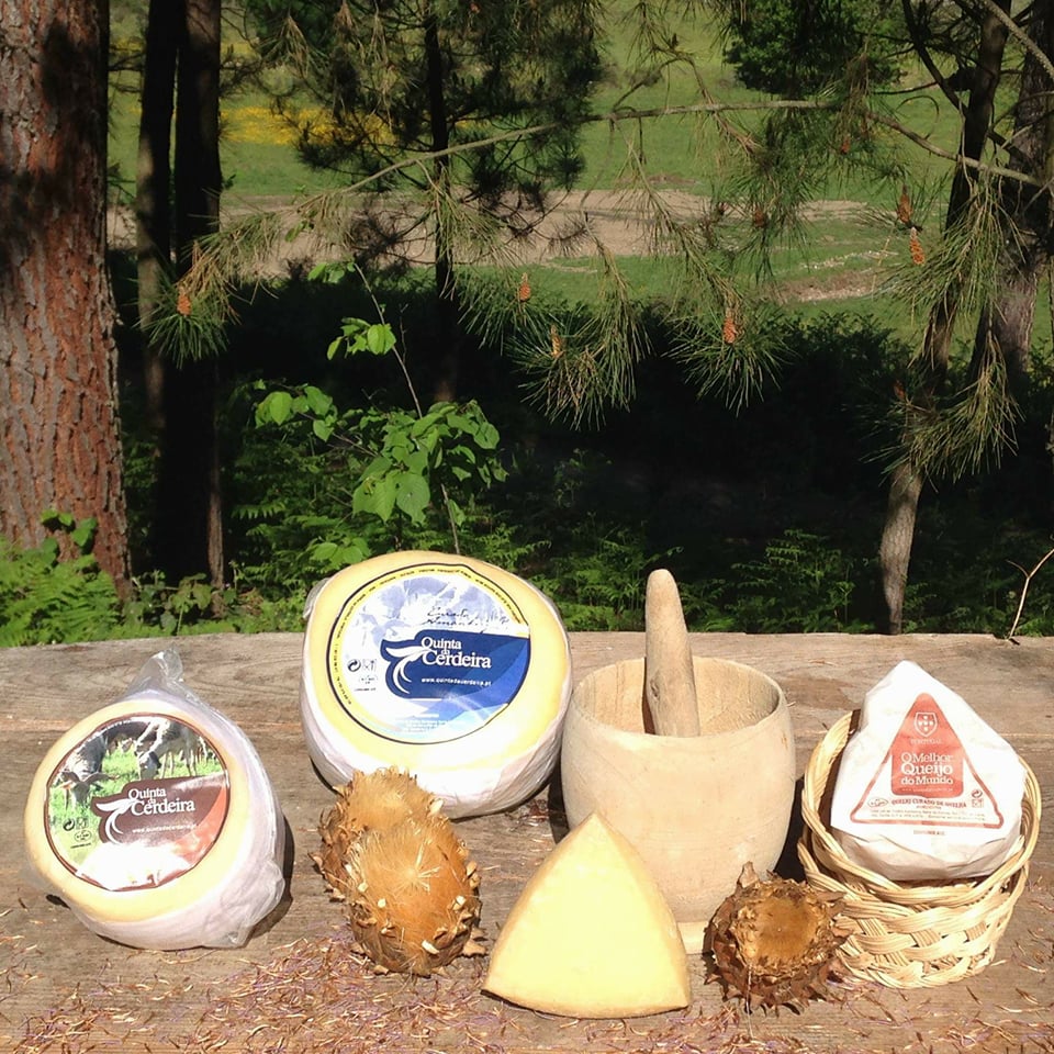 à goûter absolument le fromage de la Serra.