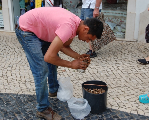 au Portugal la vente d'escargots