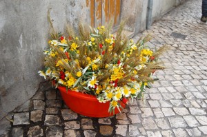 ascension au portugal