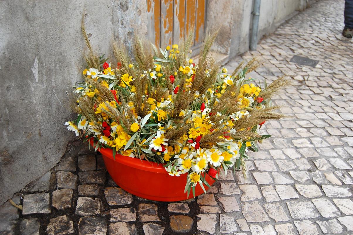 ascension au portugal