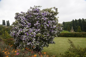 printemps dans le nord du Portugal