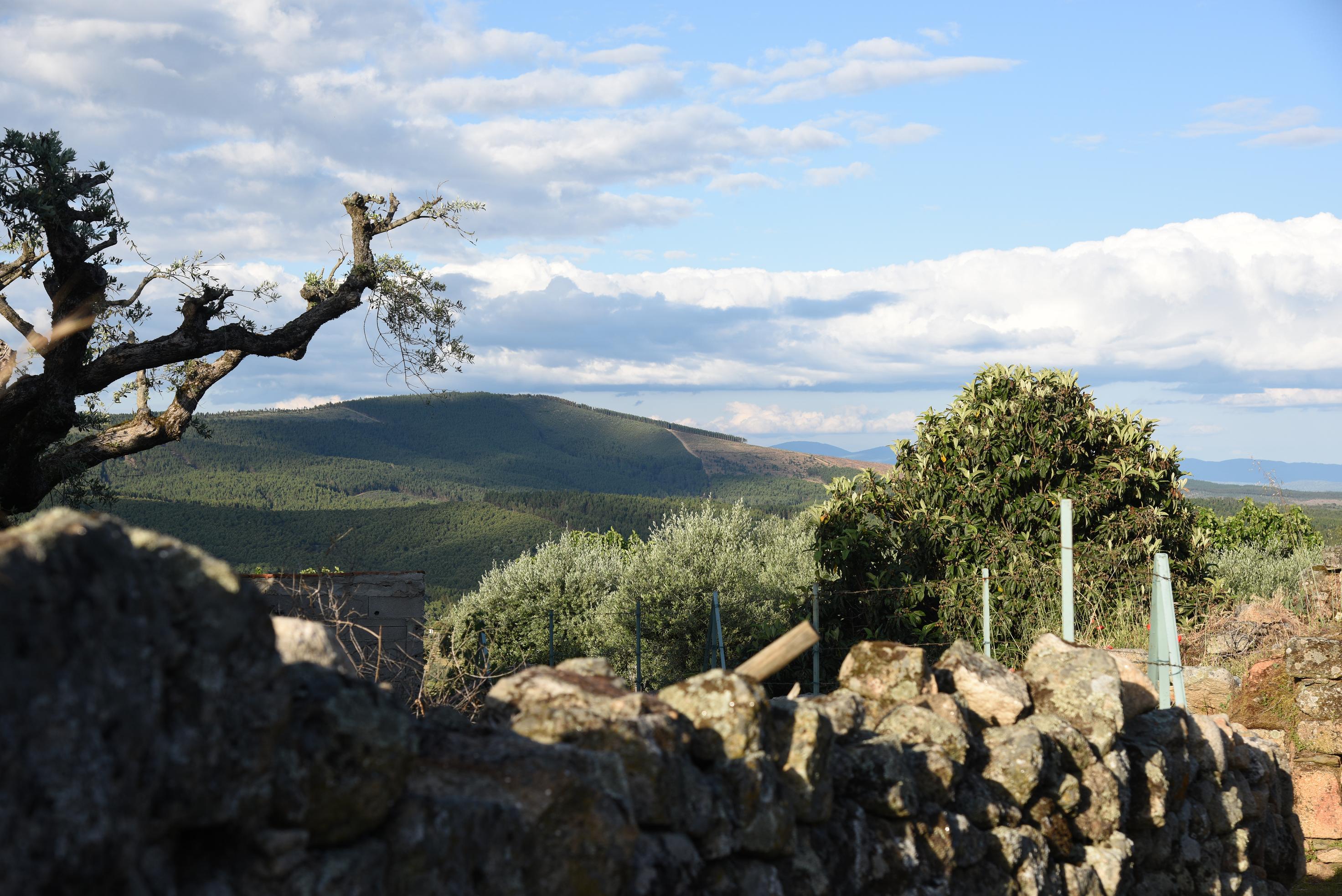 Place forte défensive: le château de Penamacor