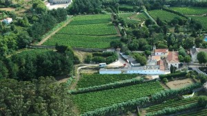 domaine vinicole au bord de l'océan