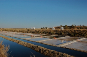 Salmarim fleur de sel en Algarve