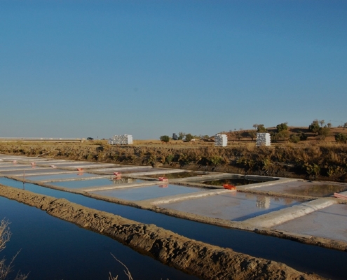 Salmarim fleur de sel en Algarve