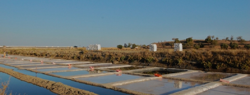 Salmarim fleur de sel en Algarve