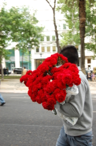 revolution of red carnation