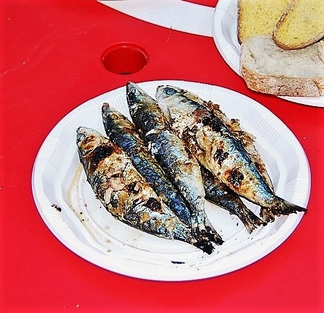 sardine du portugal
