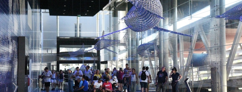 Hameçonnés à la vie expo à l'océanorium