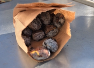 chesnuts and new wine