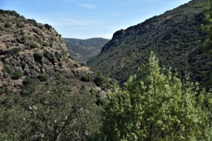 paysage typique Trás-os-Montes