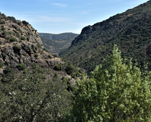 paysage typique Trás-os-Montes