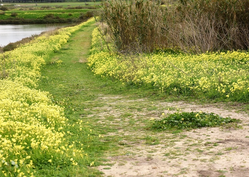 estuaire du Tage près de Lisbonne