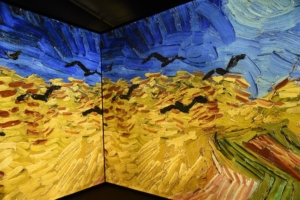 Expositon interactive Van gogh Lisbonne