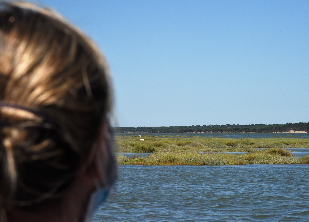 Balade en barque sur le Sado au Portugal