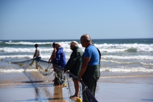 pesca tradicional