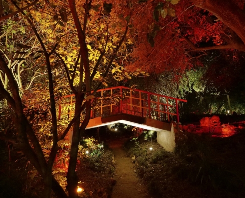 Jardin tropical de Belém