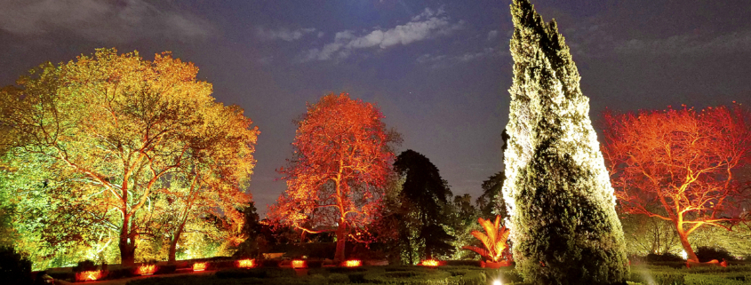 Jardin Botanique de Belém