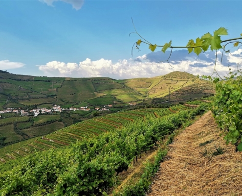 Douro