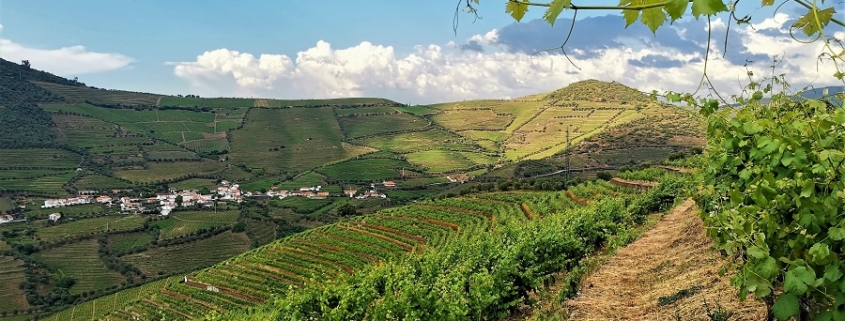 Douro