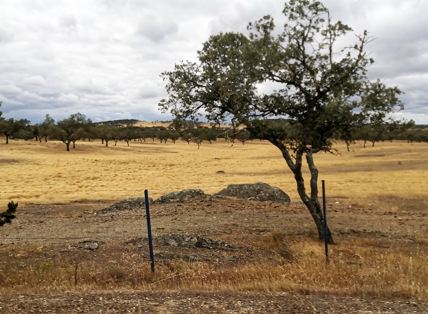 Alentejo