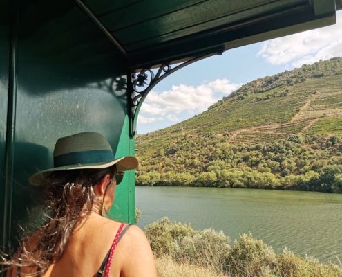 Le Douro depuis le train à vapeur