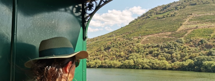 Le Douro depuis le train à vapeur