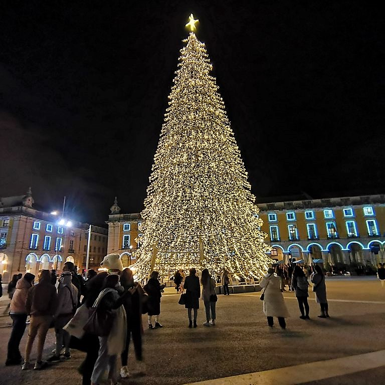 Sapin de Lisbonne