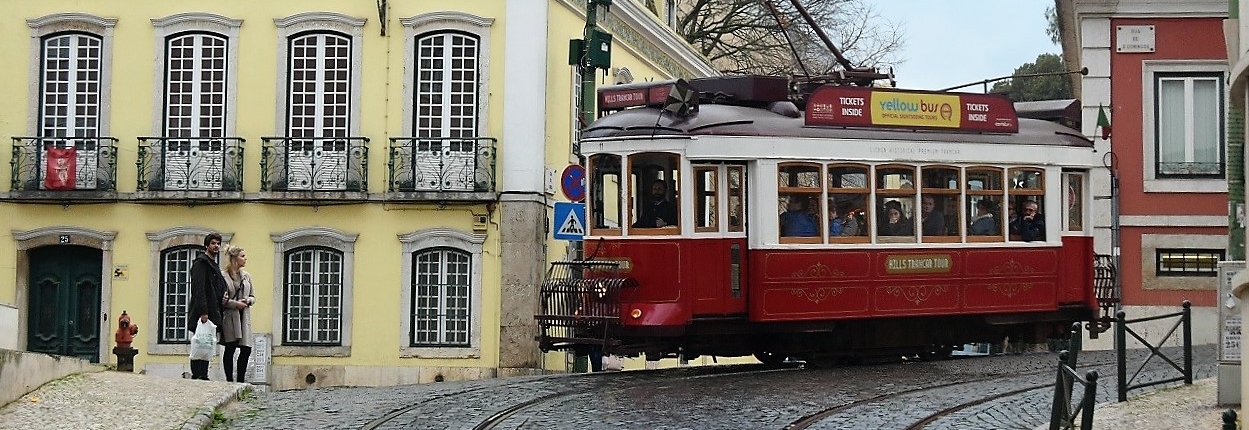 Hills Tramcar Tour