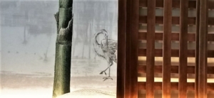 Restaurant Arigato Parc des Nations