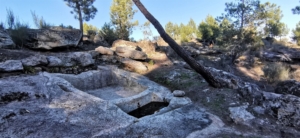 région viticole Trás-os-Montes