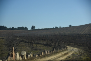 région Trás-os-montes