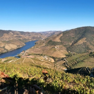 Douro