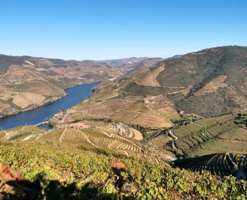 Douro