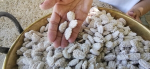 amandes