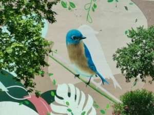 street art