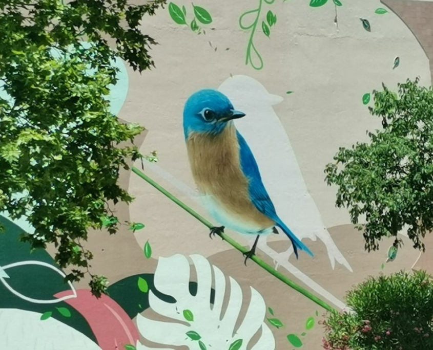street art