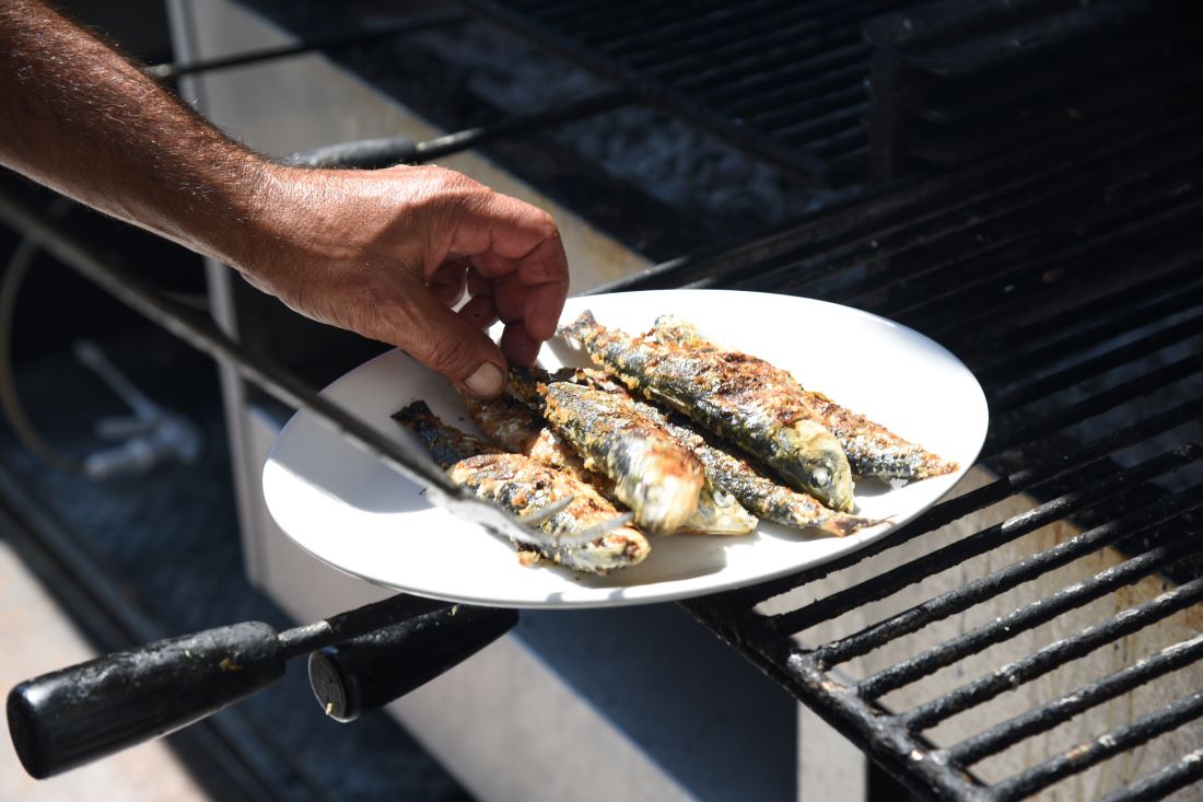 sardine