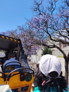 bus yellow