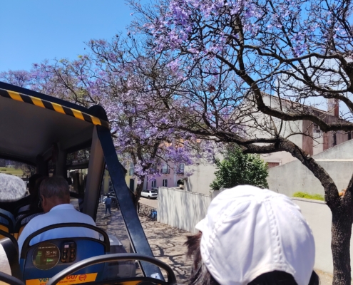 bus yellow
