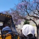 bus yellow