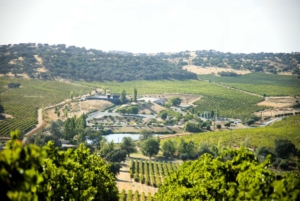 vin Alentejo